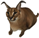 bathfloppa emote for Discord