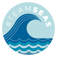 TeamSeas emote for Discord