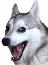 badpun_dog_smile emote for Discord