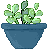 succulentplant emote for Discord