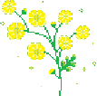 prettyflower emote for Discord