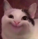 HappyCat emote for Discord