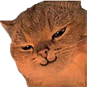 CatSmirk emote for Discord