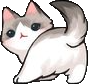 cat_butt emote for Discord
