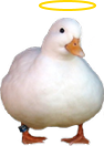 HolyDuck emote for Discord