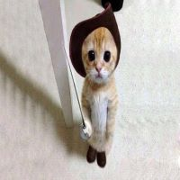 SwordCat emote for Discord