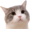 boppus emote for Discord