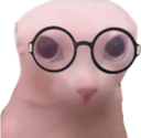 bingusnerd emote for Discord