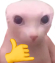 bingusrad emote for Discord