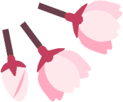 sakuratsubomi emote for Discord