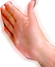 catch emote for Discord