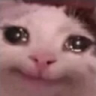 SadCat emote for Discord
