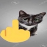catmiddlefinger emote for Discord