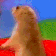 intense emote for Discord