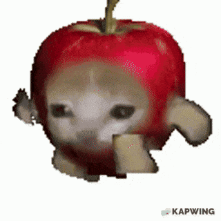 Applecat emote for Discord
