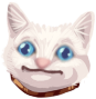 DGF_CatDeadpan emote for Discord