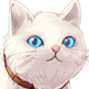 DGF_Cat emote for Discord