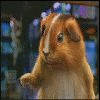 kungfu emote for Discord