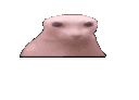 Bingus_angry emote for Discord