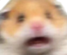 AAAA emote for Discord