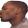 kiss_R emote for Discord