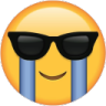 sobglasses emote for Discord