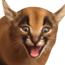 Shocked_Young_Floppa emote for Discord