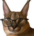 Glasses_Floppa emote for Discord