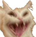 cat_scream emote for Discord