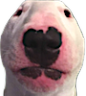 walter emote for Discord