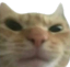 shityourself emote for Discord