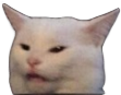 confusedCat emote for Discord