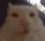vibin emote for Discord