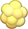 pollenpuff emote for Discord