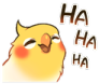 Birb_Laugh emote for Discord