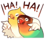 Birbs_Laugh emote for Discord