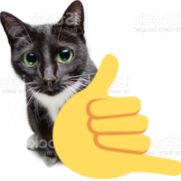 callmecat emote for Discord