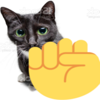 raisefistcat emote for Discord