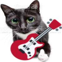 guitarcat emote for Discord