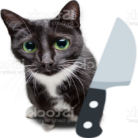 knifecat emote for Discord