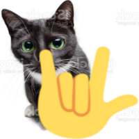 rockoncat emote for Discord