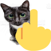 middlefingercat emote for Discord