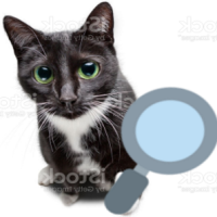 magnifyingglasscat emote for Discord
