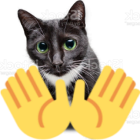 openhandscat emote for Discord