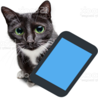 phonecat emote for Discord