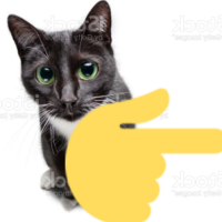 pointingrightcat emote for Discord