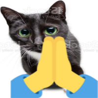 praycat emote for Discord