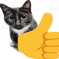 thumbsupcat emote for Discord