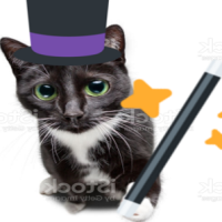 wizardcat emote for Discord