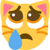 Sad_Cat emote for Discord